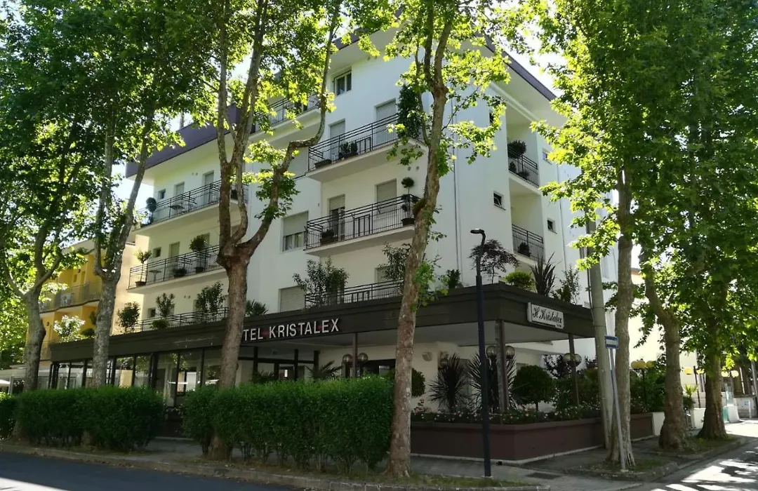 Kristalex Pet Friends Hotel-1